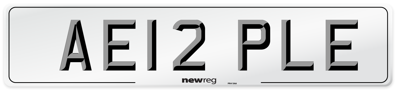 AE12 PLE Number Plate from New Reg